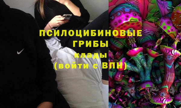соль ск Абдулино