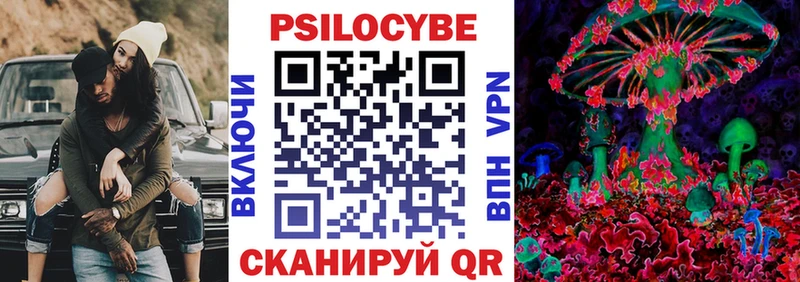 закладка  Красавино  Псилоцибиновые грибы Psilocybe 